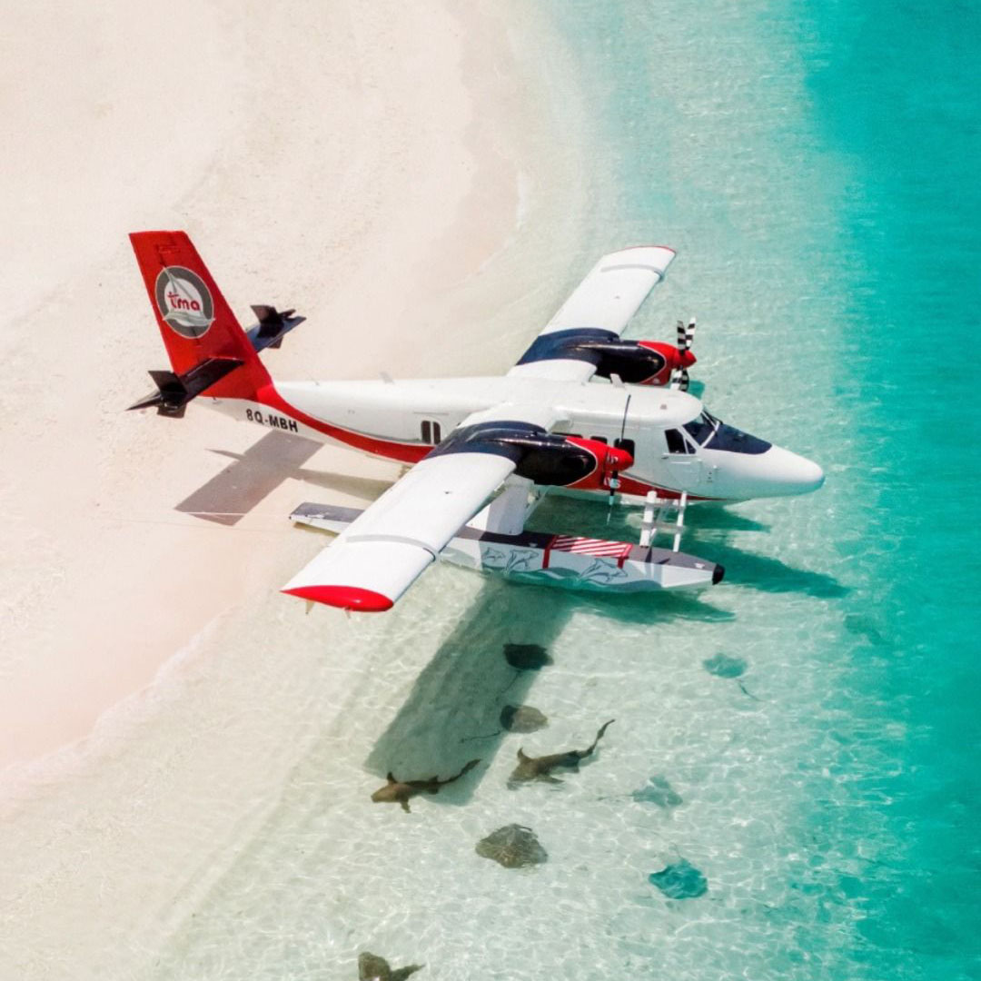 A professional rider on a horse